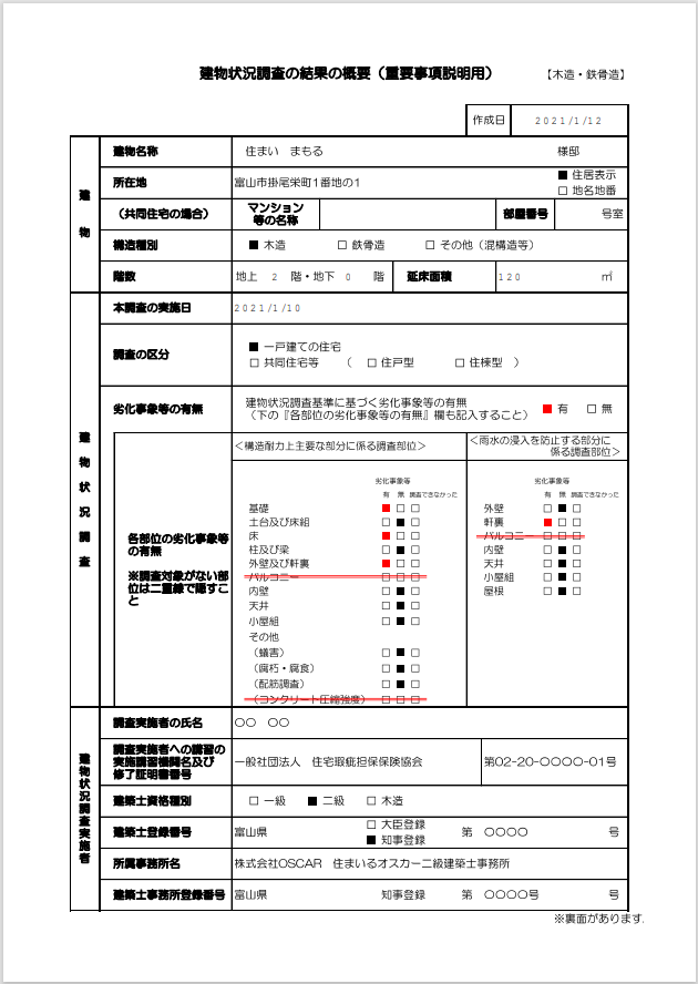 状況調査報告書